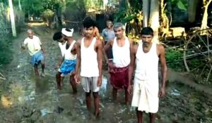 bara45w7984512315w31