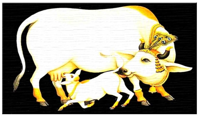 Cow-gau-mata