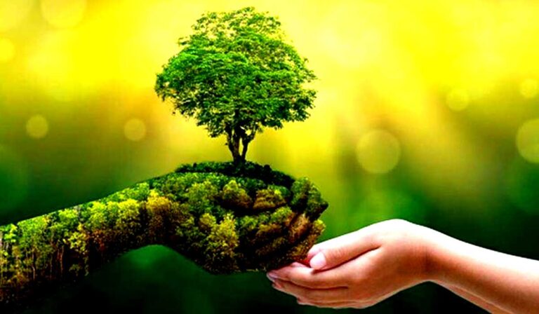 nature
