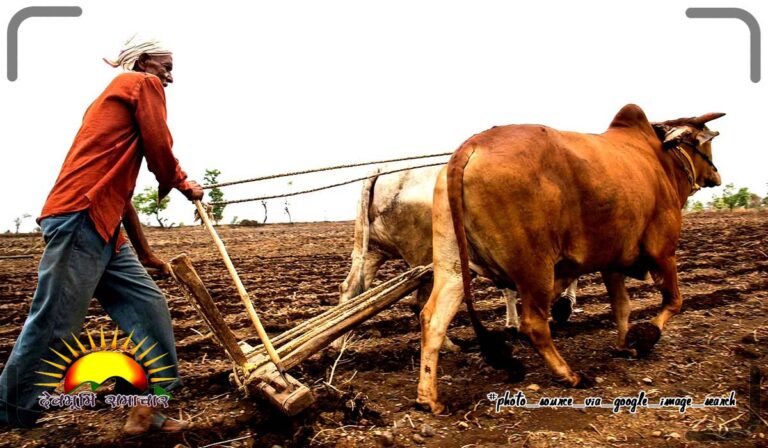 farmer-dev
