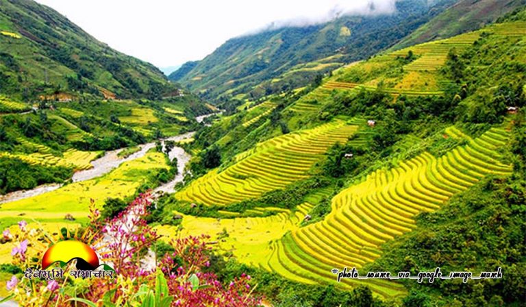 mountain-pahad-khet