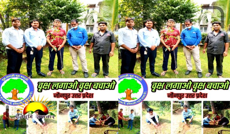 news11111s5we5w65d523