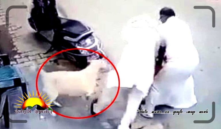 दबंगों ने सरेआम कर दी बुजुर्ग की पिटाई