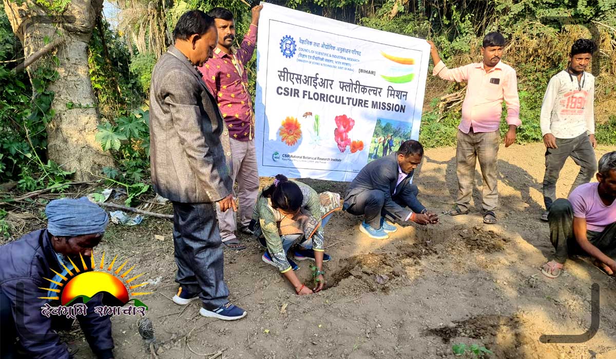 किसानों को दिया गया नई तकनीक से पाैंधरोपण का प्रशिक्षण
