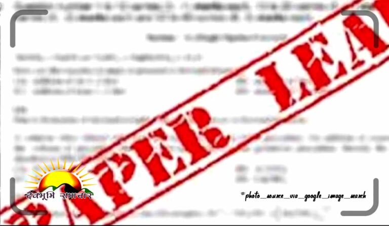 new2ds42sd24paperleek