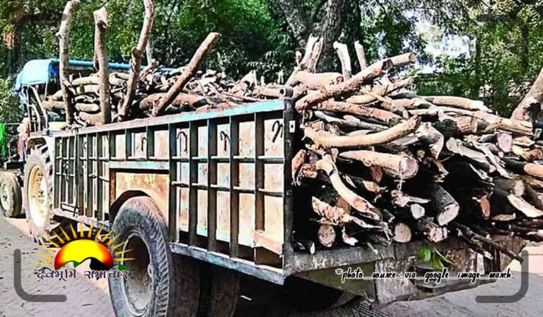 wood-news
