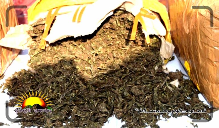 ganja