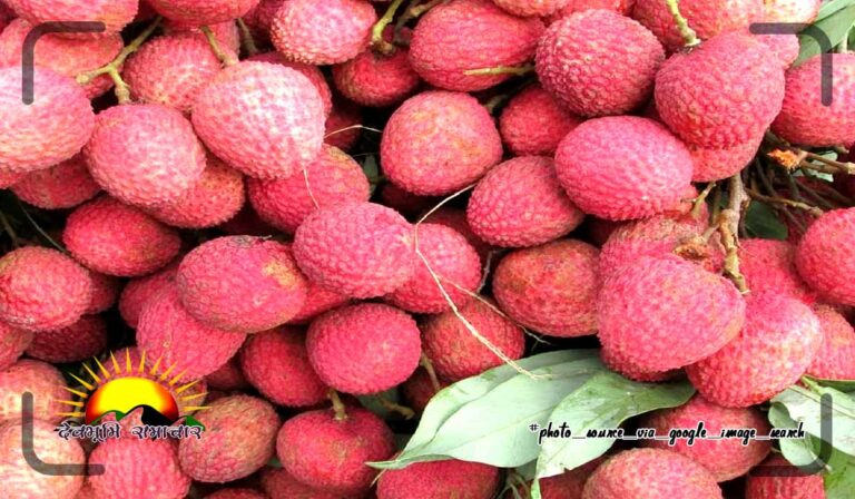 lichi