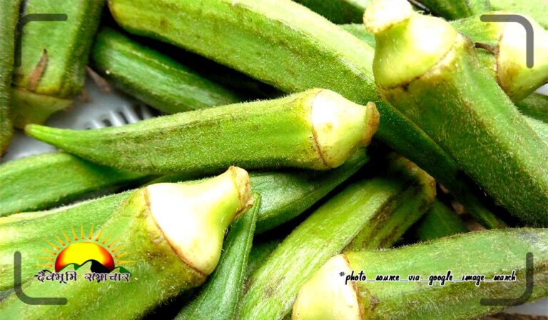 bhindi