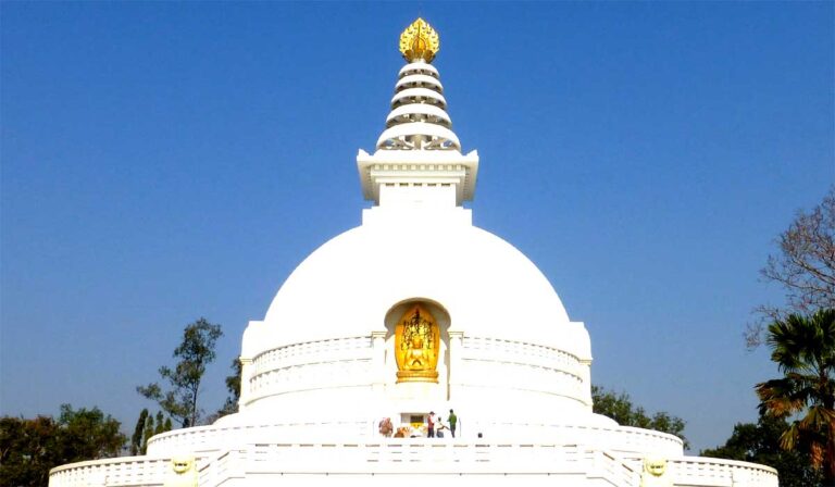 rajgeer