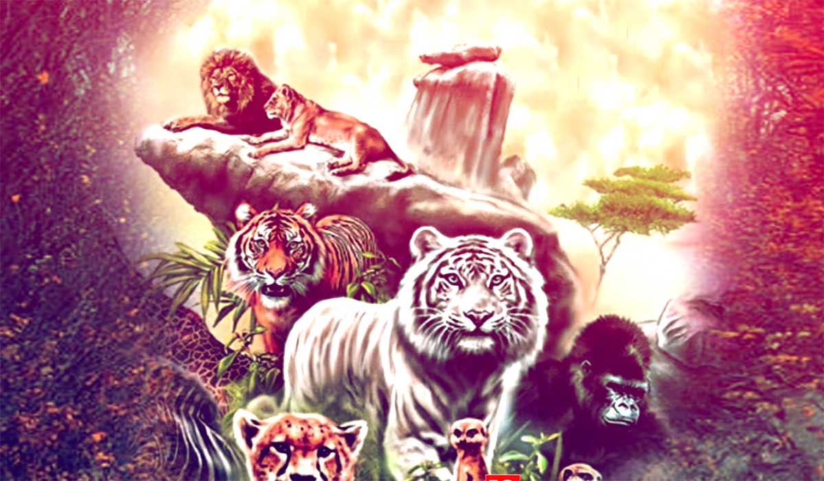 animal-lion