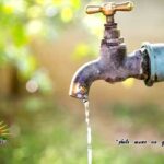 water-nal