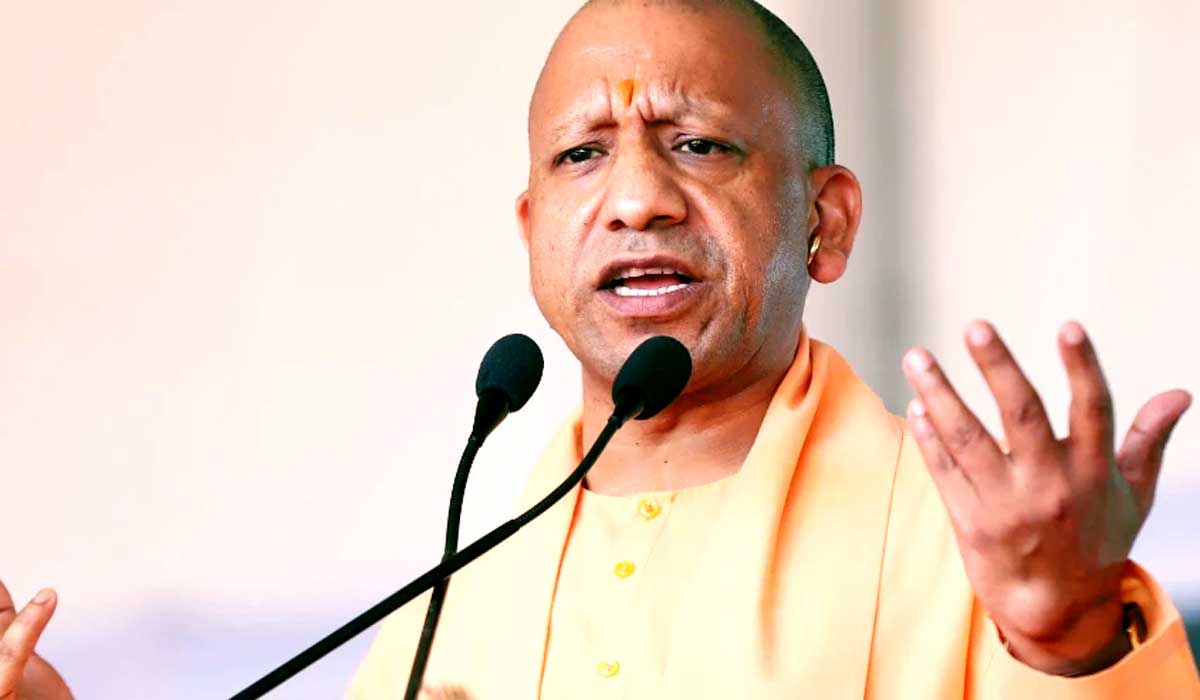 yogi
