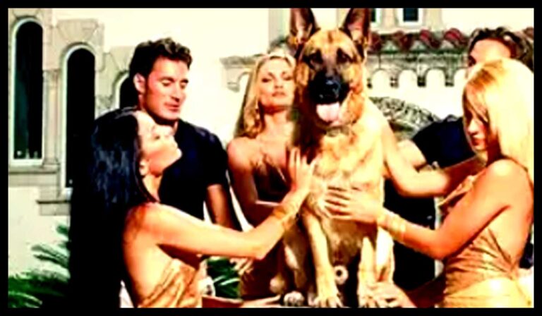 Untitled-1-ameer-kutta