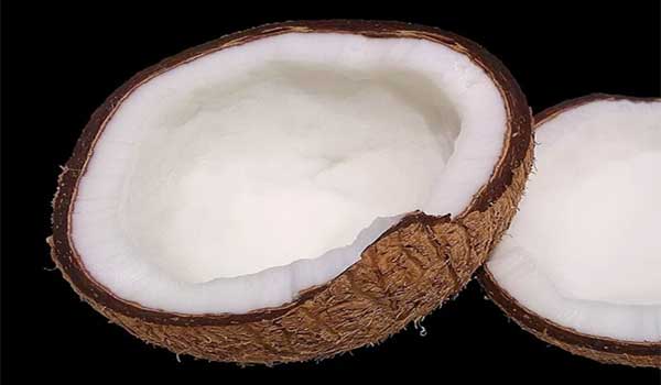 coconut