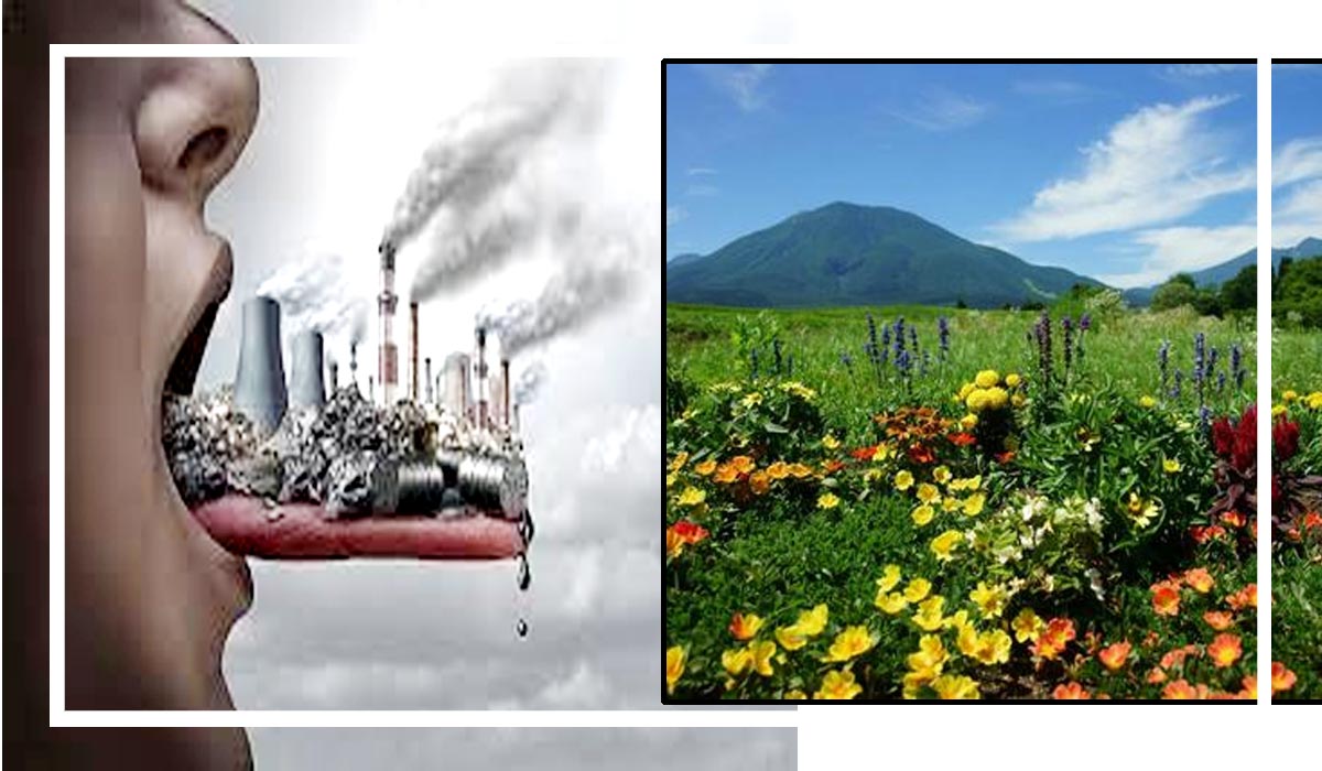 pradushan-pahad-nature