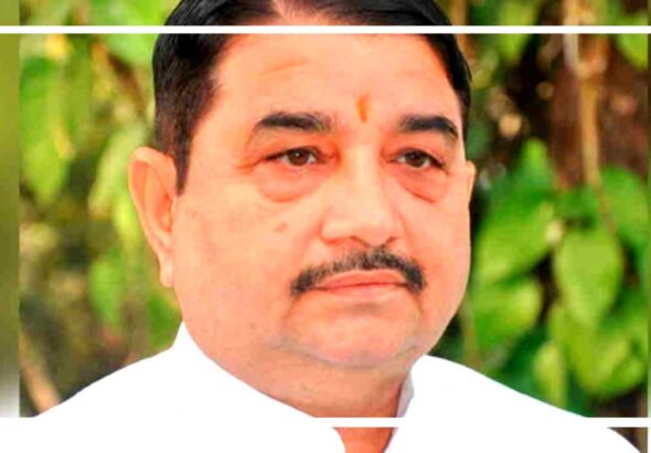 Untitled-4-cow-umesh