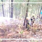 Untitled-1-jangal-aag