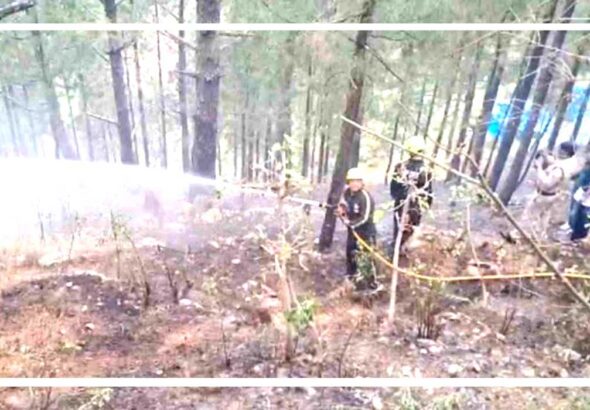 Untitled-1-jangal-aag