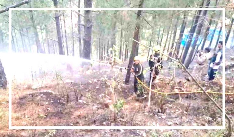 Untitled-1-jangal-aag