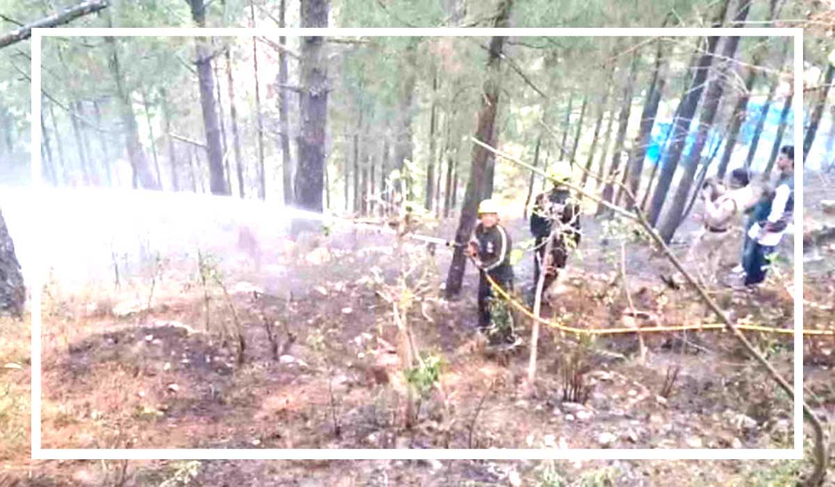 Untitled-1-jangal-aag