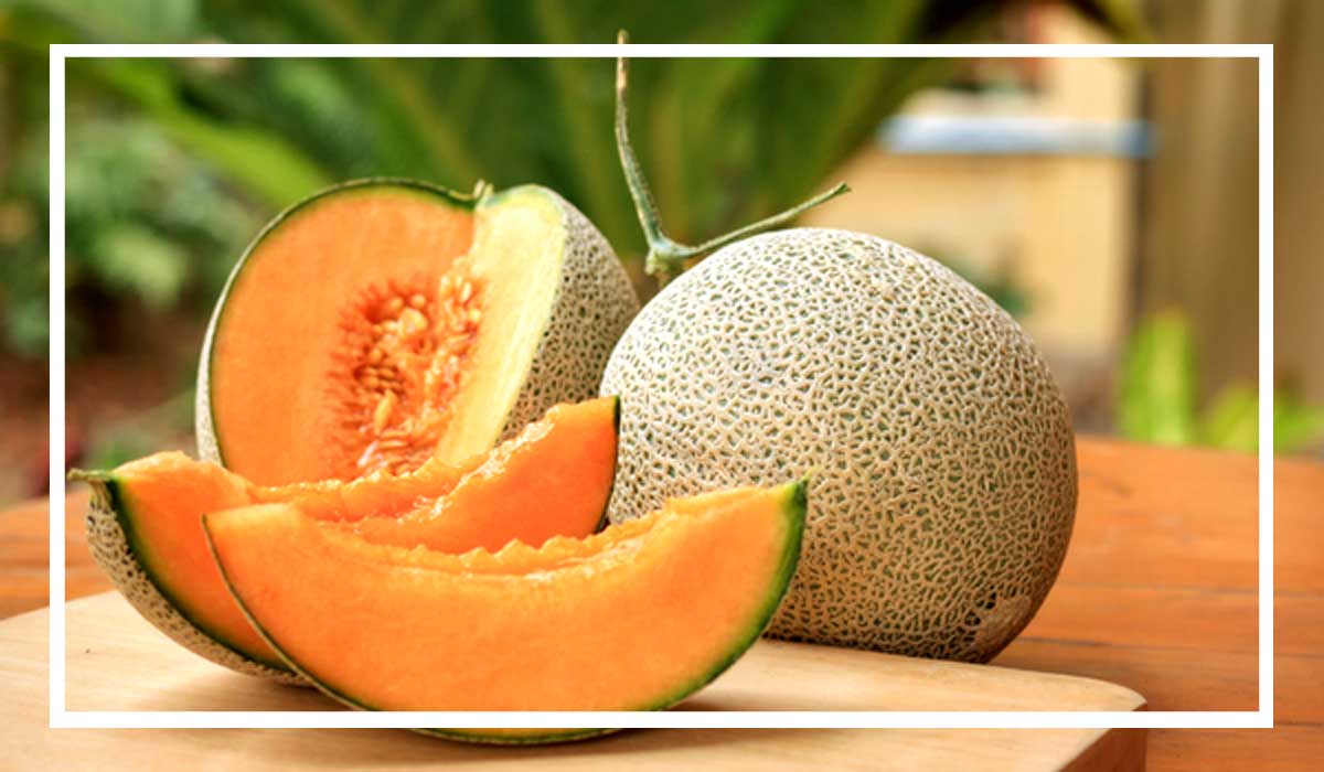 kharbuja