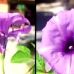 Untitled-5