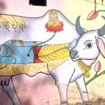 cow-03