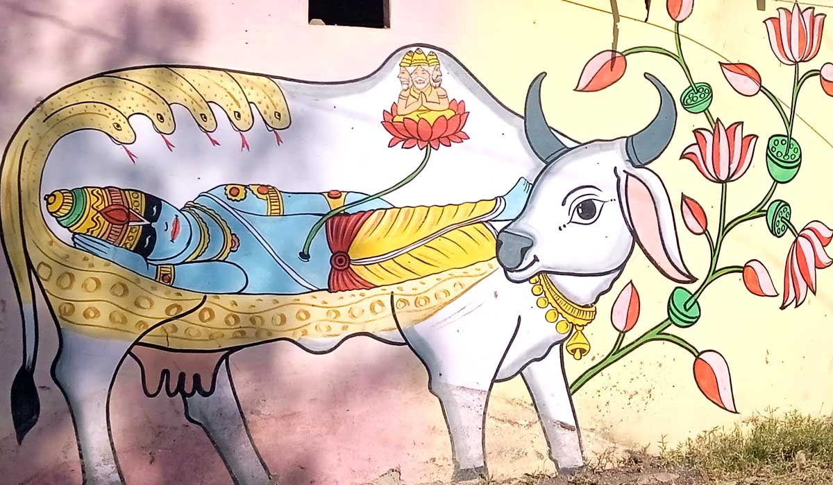 cow-03