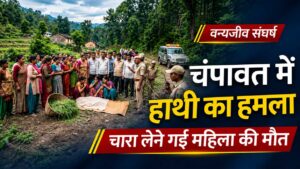 चंपावत के जंगल में हाथी के हमले में महिला की मौत के बाद घटनास्थल पर ग्रामीणों और वन विभाग की टीम की मौजूदगी दर्शाती समाचार तस्वीर।