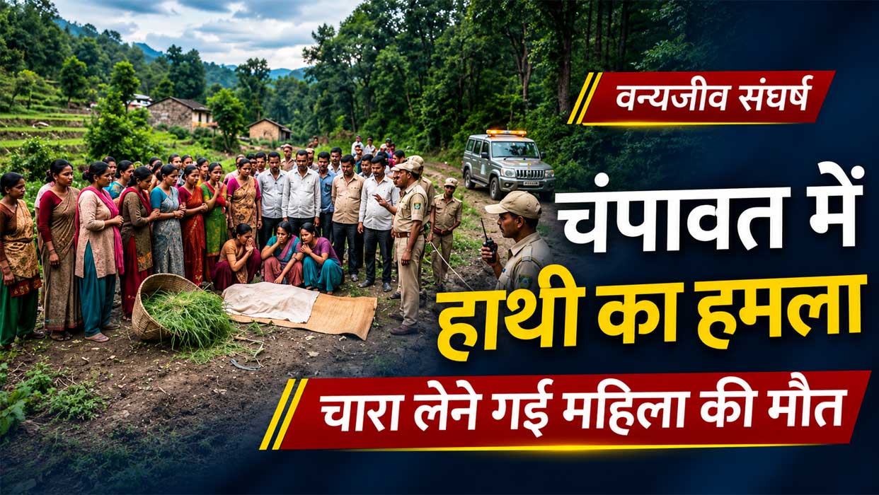 चंपावत के जंगल में हाथी के हमले में महिला की मौत के बाद घटनास्थल पर ग्रामीणों और वन विभाग की टीम की मौजूदगी दर्शाती समाचार तस्वीर।
