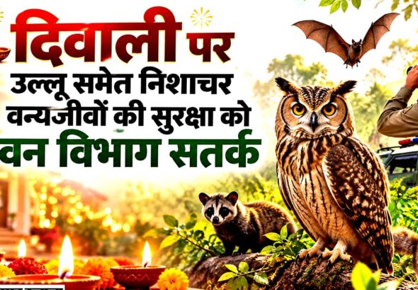 diwali-wildlife-protection-owl-trafficking-uttarakhand-2026