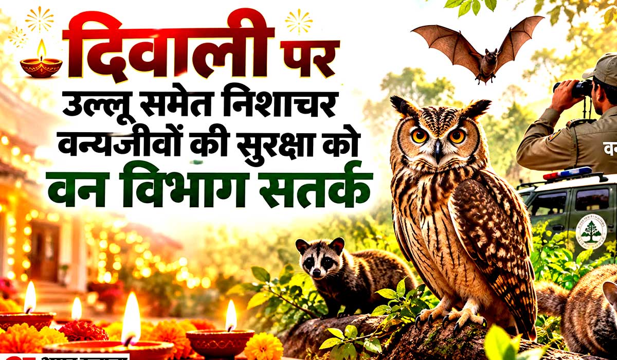 diwali-wildlife-protection-owl-trafficking-uttarakhand-2026
