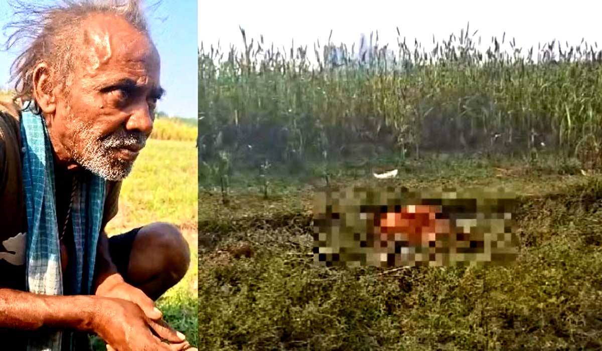 kannauj-elderly-woman-murder-case-husband-arrested-2026